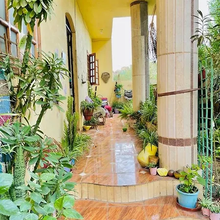 Luxor Nile View Flats Apartment Exterior photo