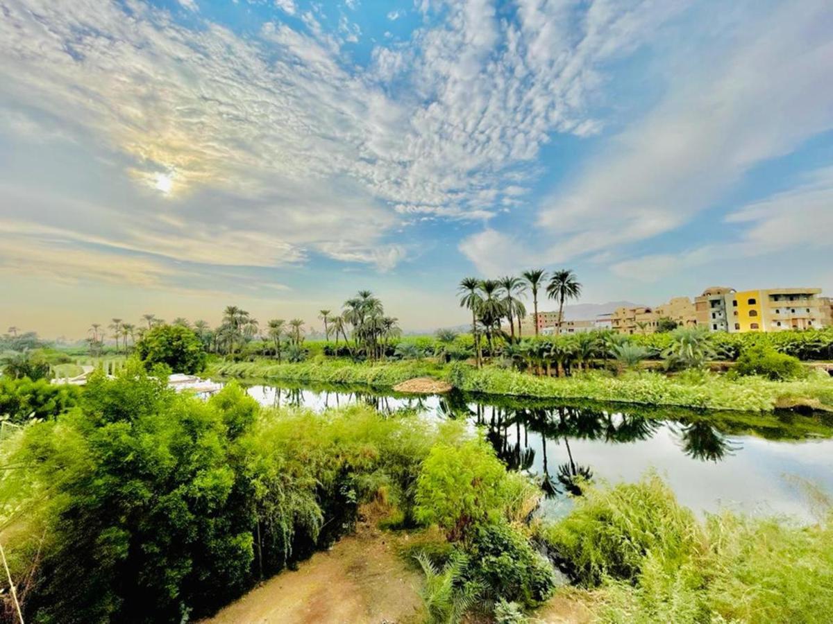 Nile View Flats Апартаменты Луксор