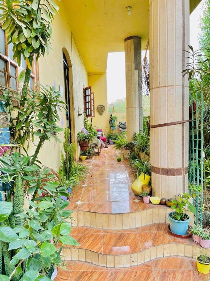 Апартаменты Nile View Flats Луксор