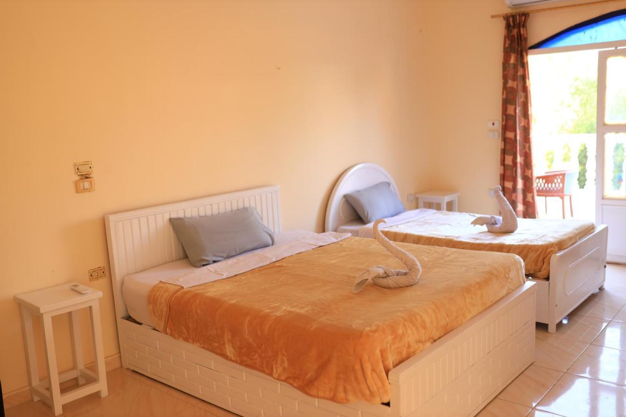 Nile View Flats Апартаменты Луксор
