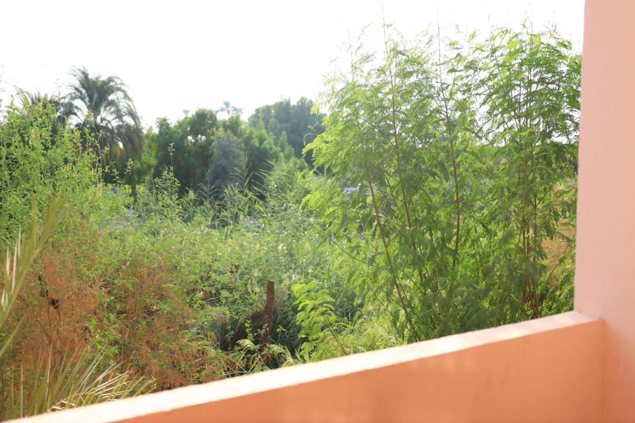 Nile View Flats